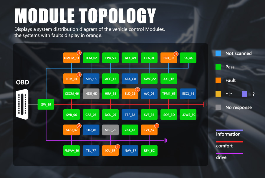 Topology